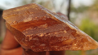 Natural Honey Aragonite Etched & Cobbed Pieces  x 35 From Namibia