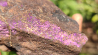 Natural Metallic Purpurite Cobbed Specimens x 4 From Erongo, Namibia