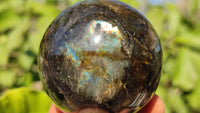 Polished  Small Labradorite Spheres  x 6 From Tulear, Madagascar