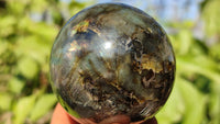 Polished  Small Labradorite Spheres  x 6 From Tulear, Madagascar