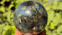 Polished  Small Labradorite Spheres  x 6 From Tulear, Madagascar