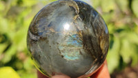 Polished  Small Labradorite Spheres  x 6 From Tulear, Madagascar