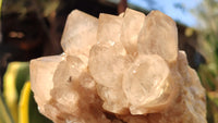 Natural Cascading Smokey Quartz Clusters x 2 From Luena, Congo