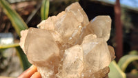 Natural Cascading Smokey Quartz Clusters x 2 From Luena, Congo