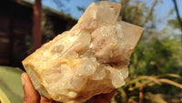 Natural Cascading Smokey Quartz Clusters x 2 From Luena, Congo