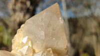 Natural Cascading Smokey Quartz Clusters x 2 From Congo