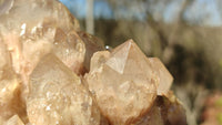 Natural Cascading Smokey Quartz Clusters x 2 From Congo