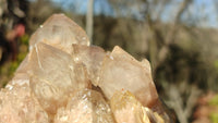 Natural Cascading Smokey Quartz Clusters x 2 From Congo