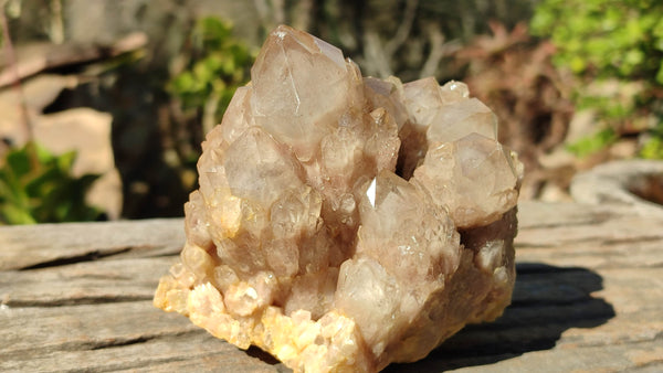 Natural Cascading Smokey Quartz Clusters x 2 From Congo