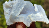 Natural Etched Blue Chalcedony Specimens  x 35 From Nsanje, Malawi