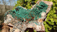 Natural Rare Ball Malachite On Drusy Quartz & Dolomite Specimens x 2 From Kambove, Congo