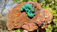 Natural Rare Ball Malachite On Drusy Quartz & Dolomite Specimens x 2 From Kambove, Congo