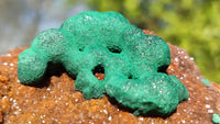 Natural Rare Ball Malachite On Drusy Quartz & Dolomite Specimens x 2 From Kambove, Congo