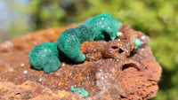 Natural Rare Ball Malachite On Drusy Quartz & Dolomite Specimens x 2 From Kambove, Congo