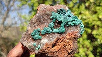 Natural Rare Ball Malachite On Drusy Quartz & Dolomite Specimens x 2 From Kambove, Congo