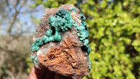 Natural Rare Ball Malachite On Drusy Quartz & Dolomite Specimens x 2 From Kambove, Congo