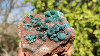 Natural Rare Ball Malachite On Drusy Quartz & Dolomite Specimens x 2 From Kambove, Congo