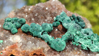 Natural Rare Ball Malachite On Drusy Quartz & Dolomite Specimens x 2 From Kambove, Congo