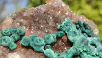 Natural Rare Ball Malachite On Drusy Quartz & Dolomite Specimens x 2 From Kambove, Congo