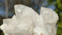 Natural Spirit Cactus Flower Quartz Clusters x 12 From Boekenhouthoek, South Africa