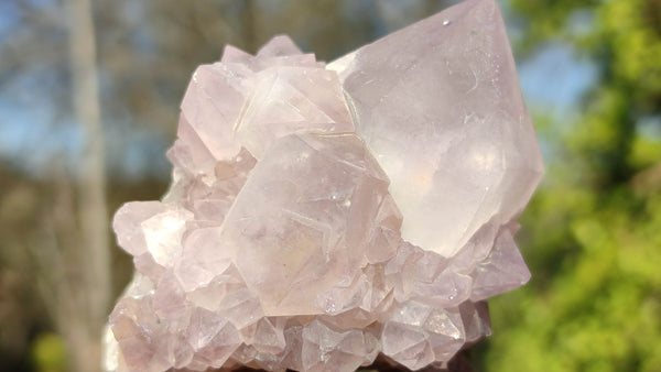 Natural Spirit Cactus Flower Quartz Clusters x 12 From Boekenhouthoek, South Africa