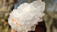 Natural Spirit Cactus Flower Quartz Clusters x 12 From Boekenhouthoek, South Africa