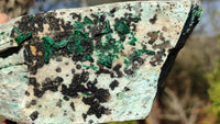 Natural Drusy Coated Chrysocolla Dolomite Specimen x 1 From Likasi, Congo