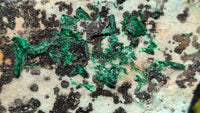 Natural Drusy Coated Chrysocolla Dolomite Specimen x 1 From Likasi, Congo