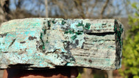 Natural Drusy Coated Chrysocolla Dolomite Specimen x 1 From Likasi, Congo