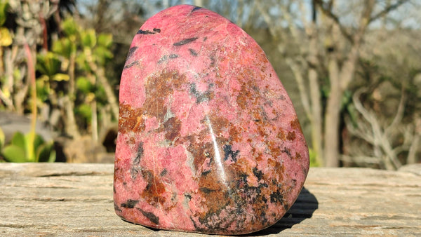 Polished Red Rhodonite Free Form x 1 From Zimbabwe