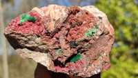 Natural Pink Salrose Cobaltion Dolomite Specimens  x 6 From Kakanda, Congo