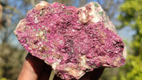 Natural Pink Salrose Cobaltion Dolomite Specimens  x 6 From Kakanda, Congo