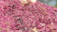 Natural Pink Salrose Cobaltion Dolomite Specimens  x 6 From Kakanda, Congo