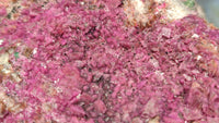 Natural Pink Salrose Cobaltion Dolomite Specimens  x 6 From Kakanda, Congo