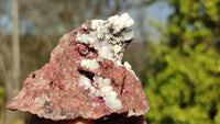 Natural Pink Salrose Cobaltion Dolomite Specimens  x 6 From Kakanda, Congo