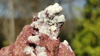 Natural Pink Salrose Cobaltion Dolomite Specimens  x 6 From Kakanda, Congo