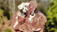 Natural Pink Salrose Cobaltion Dolomite Specimens  x 6 From Kakanda, Congo