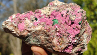 Natural Pink Salrose Cobaltion Dolomite Specimens  x 6 From Kakanda, Congo