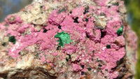 Natural Pink Salrose Cobaltion Dolomite Specimens  x 6 From Kakanda, Congo