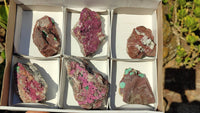 Natural Pink Salrose Cobaltion Dolomite Specimens  x 6 From Kakanda, Congo