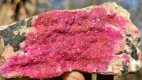 Natural Salrose Cobaltion Dolomite Specimens x 4 From Kakanda, Congo