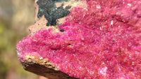 Natural Salrose Cobaltion Dolomite Specimens x 4 From Kakanda, Congo