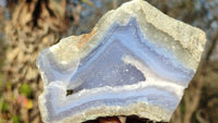 Polished One Side Polished Blue Lace Agate Specimens  x 6 From Nsanje, Malawi