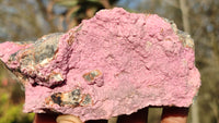 Natural Pink Salrose Cobaltion Dolomite Specimens x 6 From Kakanda, Congo