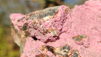 Natural Pink Salrose Cobaltion Dolomite Specimens x 6 From Kakanda, Congo