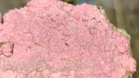 Natural Pink Salrose Cobaltion Dolomite Specimens x 6 From Kakanda, Congo