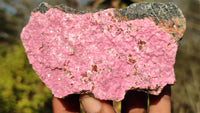 Natural Pink Salrose Cobaltion Dolomite Specimens x 6 From Kakanda, Congo