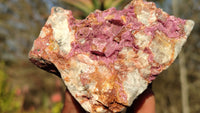 Natural Pink Salrose Cobaltion Dolomite Specimens x 6 From Kakanda, Congo