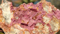 Natural Pink Salrose Cobaltion Dolomite Specimens x 6 From Kakanda, Congo