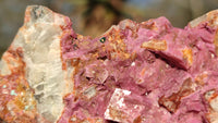 Natural Pink Salrose Cobaltion Dolomite Specimens x 6 From Kakanda, Congo